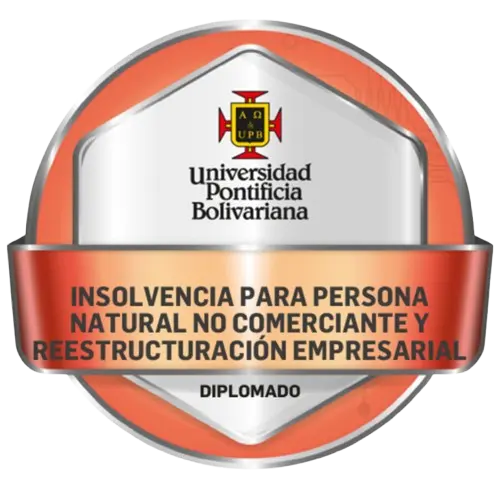Diplomado Insolvencia